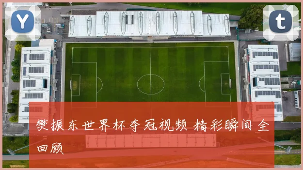 樊振东世界杯夺冠视频 精彩瞬间全回顾