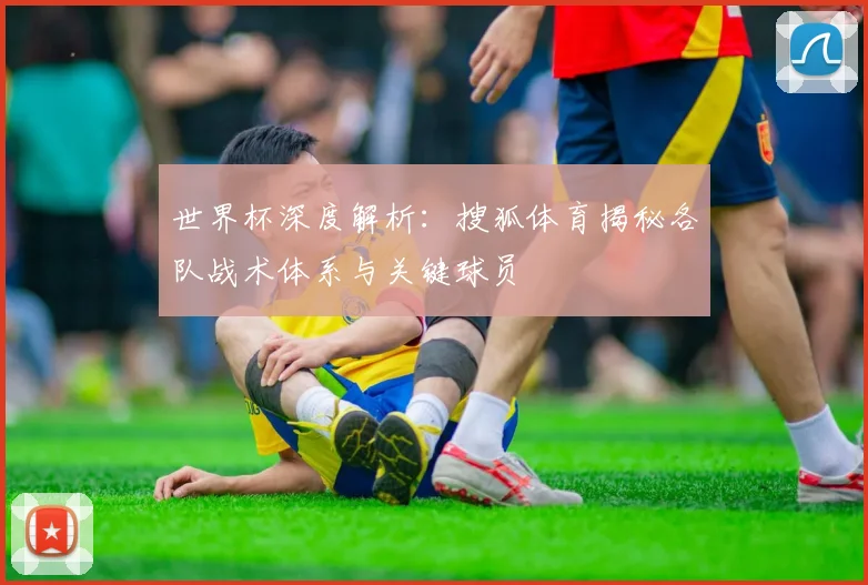 世界杯深度解析：搜狐体育揭秘各队战术体系与关键球员