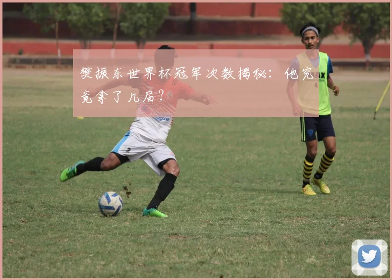 樊振东世界杯冠军次数揭秘：他究竟拿了几届？