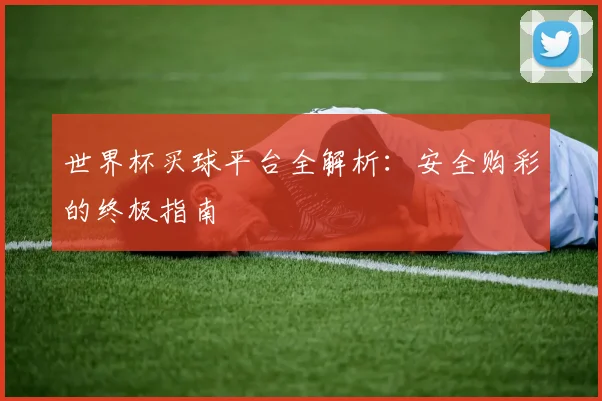 世界杯买球平台全解析:安全购彩的终极指南