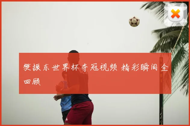 樊振东世界杯夺冠视频 精彩瞬间全回顾