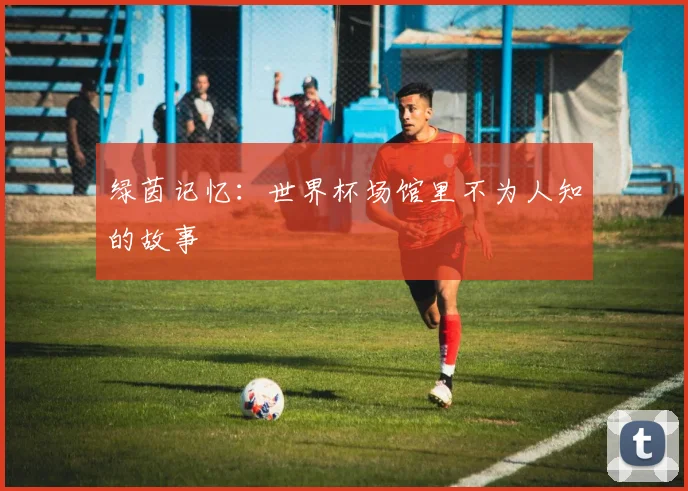 绿茵记忆:世界杯场馆里不为人知的故事