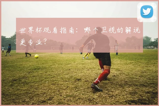 世界杯观看指南：哪个卫视的解说更专业？