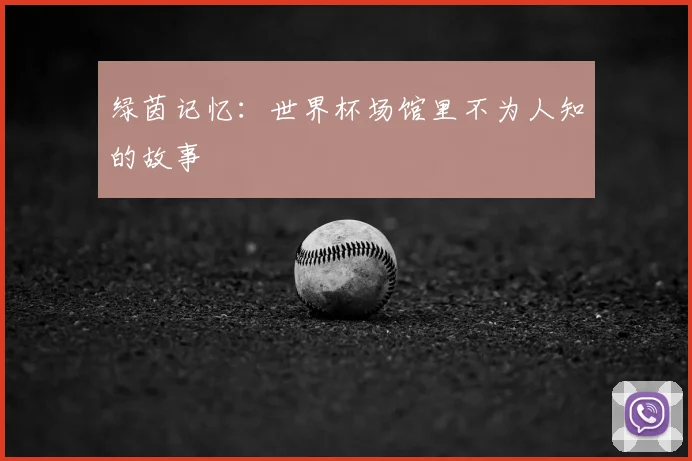 绿茵记忆:世界杯场馆里不为人知的故事