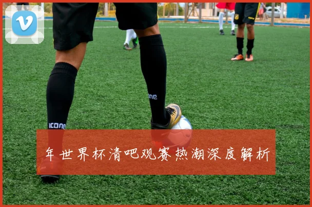 年世界杯清吧观赛热潮深度解析