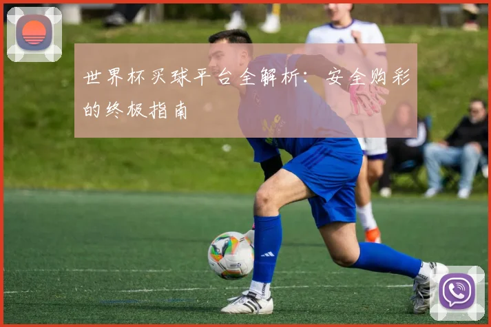 世界杯买球平台全解析:安全购彩的终极指南