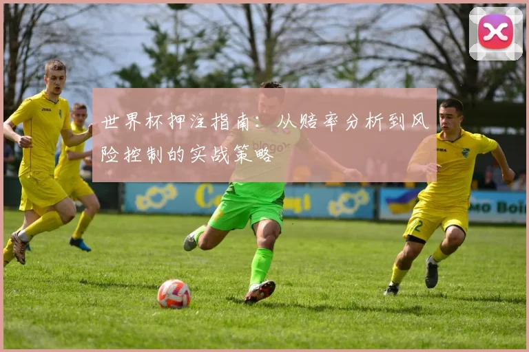 世界杯押注指南:从赔率分析到风险控制的实战策略