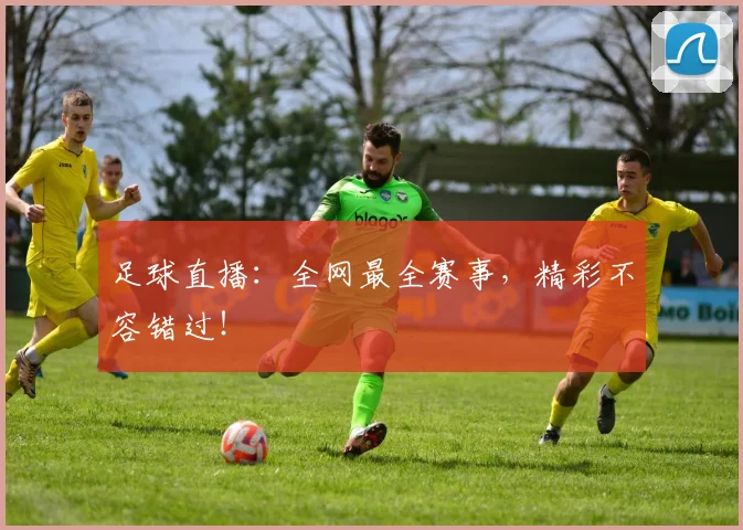 足球直播:全网最全赛事,精彩不容错过!