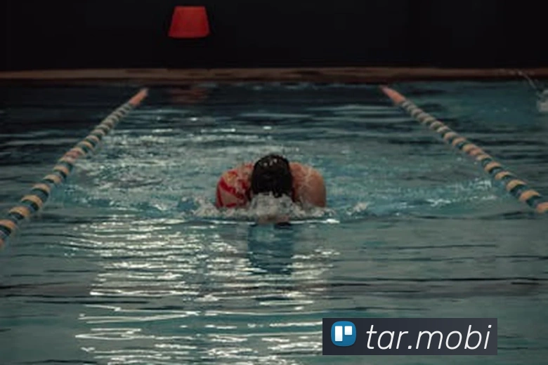 开云在线官网登录入口平台生态图